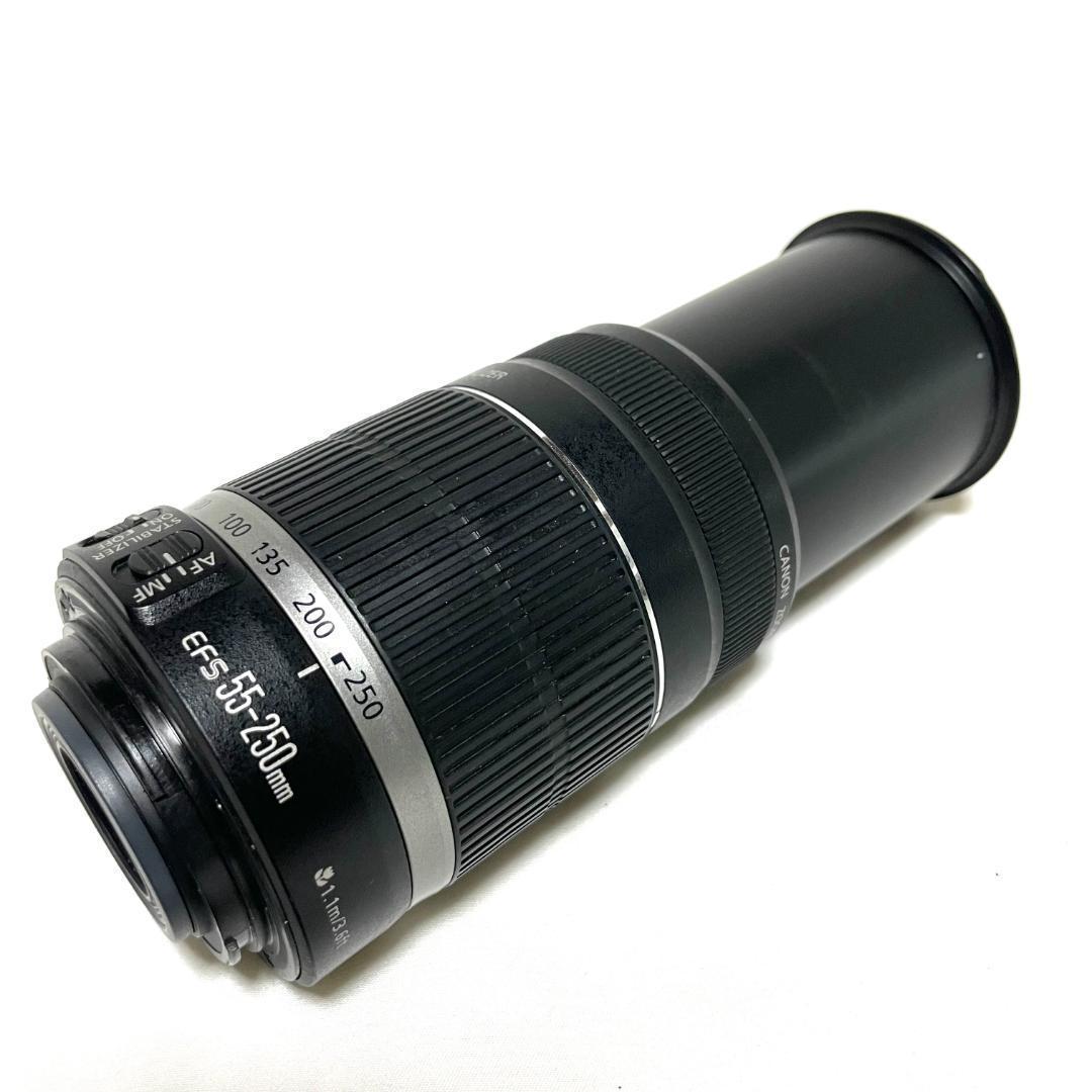 動く被写体を捉える❣️ Canon EF-S 55-250mm 望遠ズームレンズ