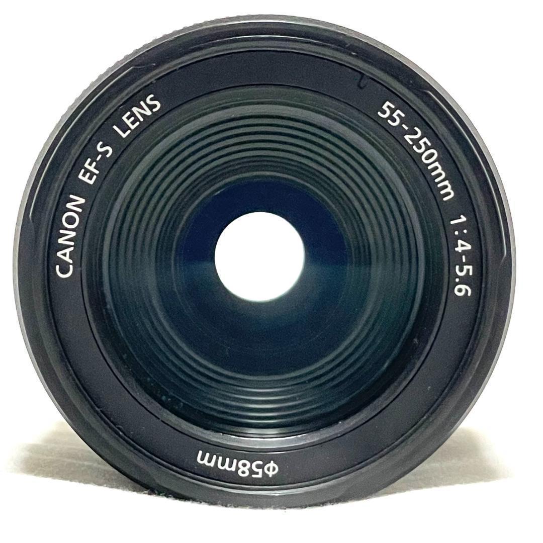 動く被写体を捉える❣️ Canon EF-S 55-250mm 望遠ズームレンズ