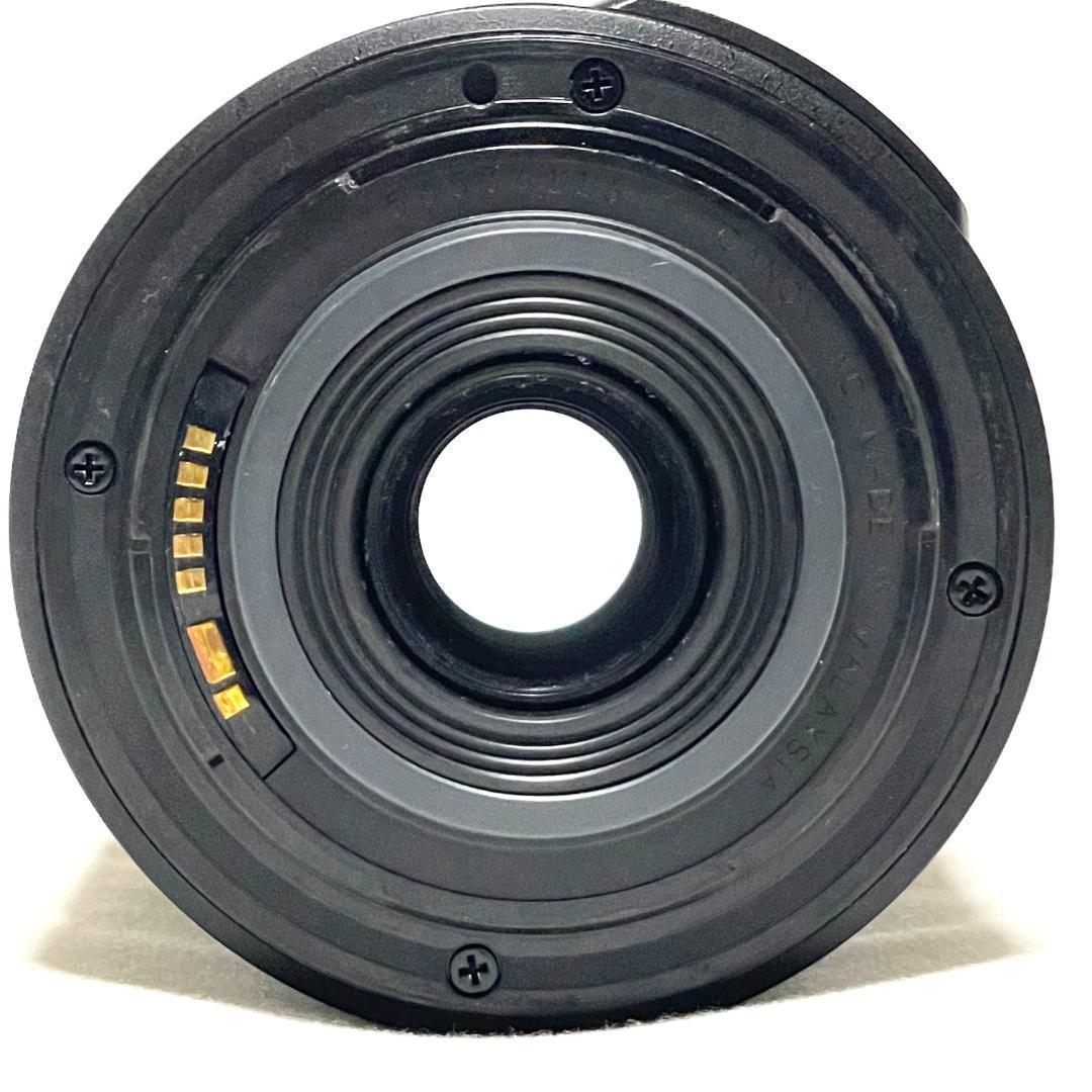 動く被写体を捉える❣️ Canon EF-S 55-250mm 望遠ズームレンズ