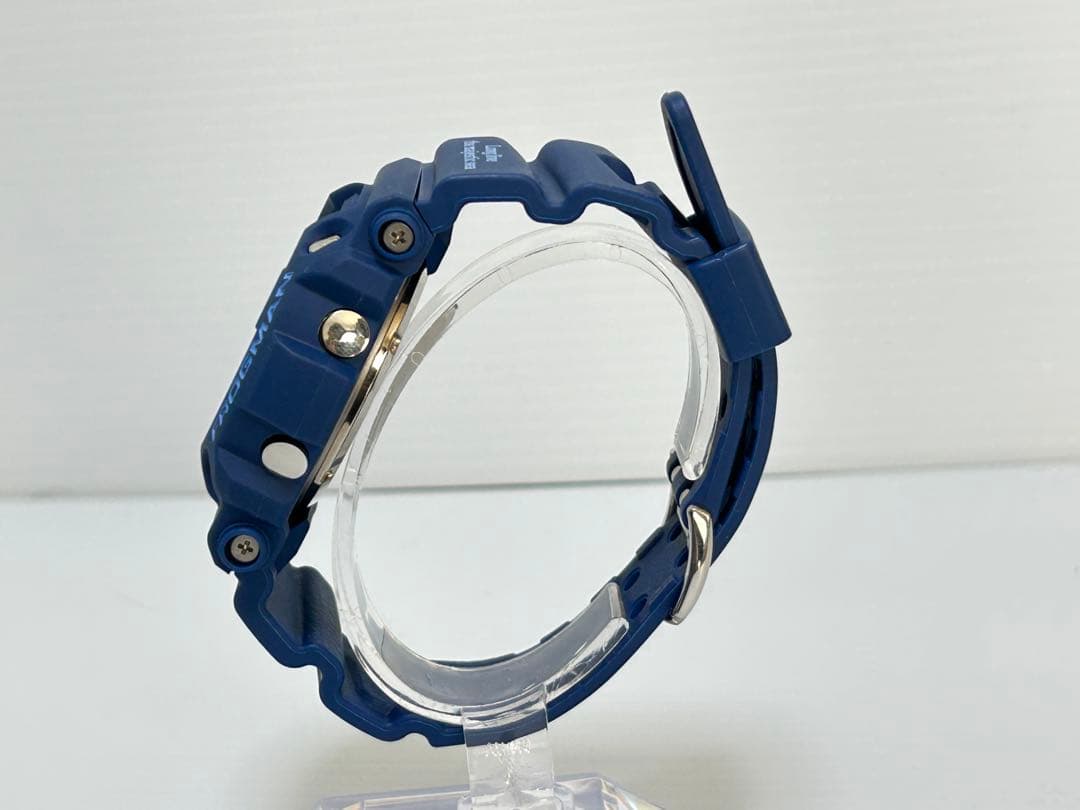 370 稼働 G-SHOCK ビンテージ フロッグマン DW-9902 WCCS