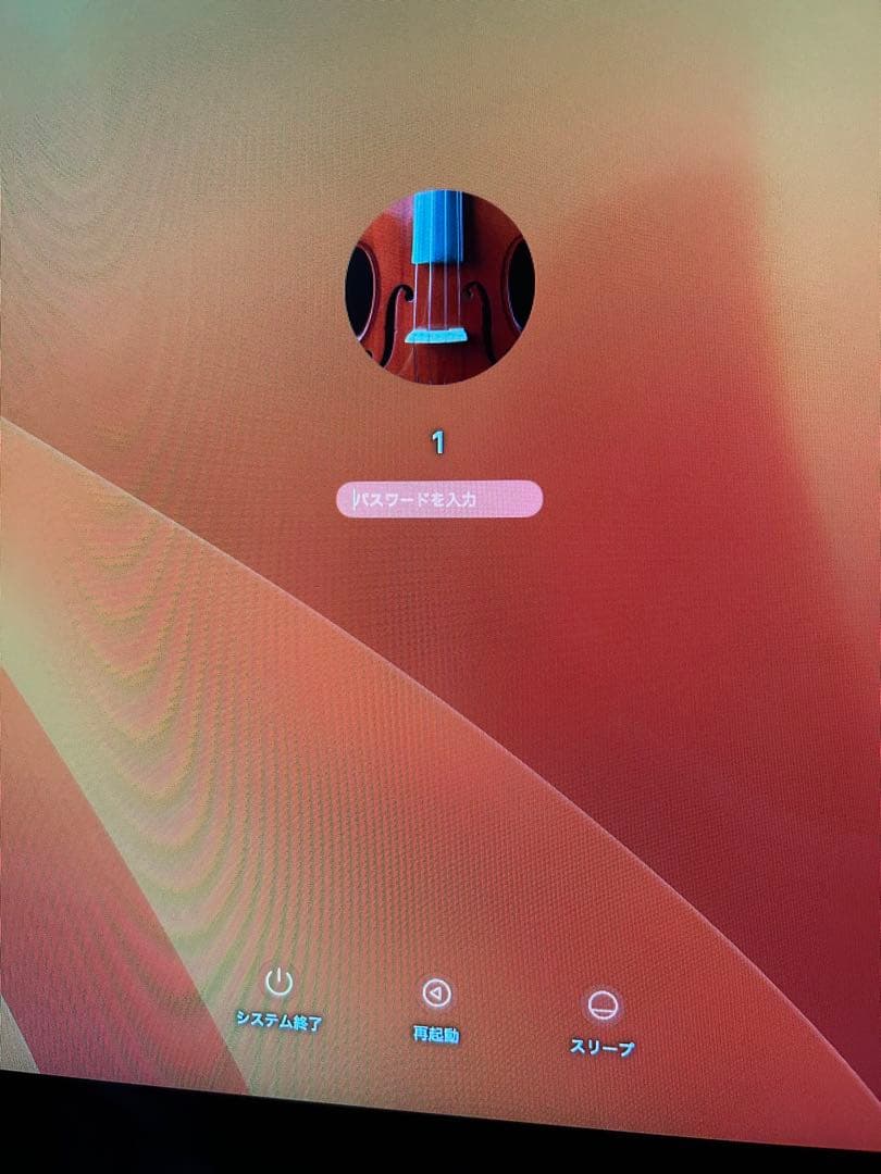 セール！Apple iMac 21.5インチ (A1418) 16g 1TB