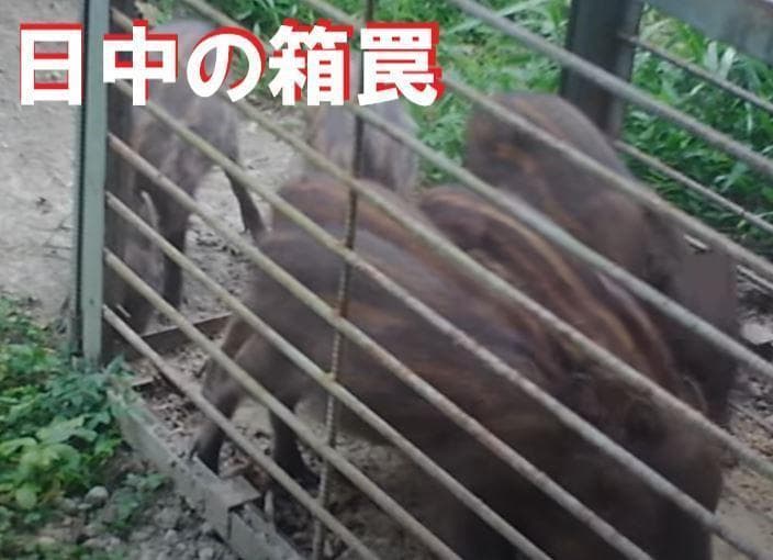 2台で！　高画質 防犯カメラ 動体検知 監視 日本語説明(注) 32gb SD付