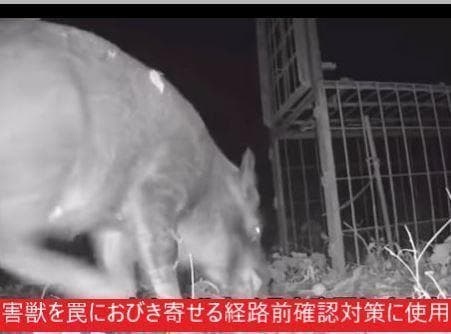 2台で！　高画質 防犯カメラ 動体検知 監視 日本語説明(注) 32gb SD付