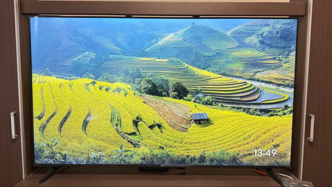 TCL 65型　4K 液晶テレビ　P635