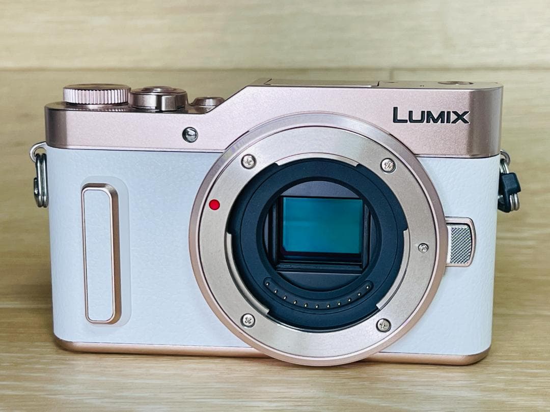 ショット数6470回 美品 Panasonic LUMIX DMC-GF10