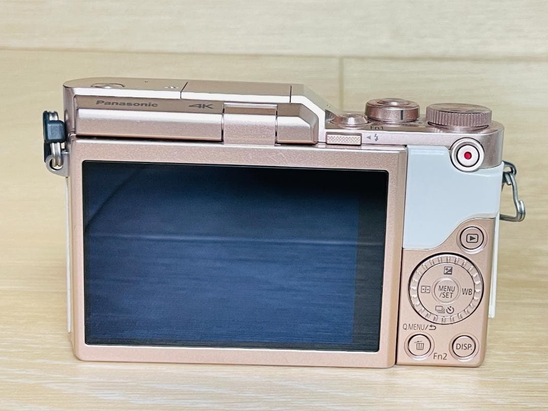 ショット数6470回 美品 Panasonic LUMIX DMC-GF10