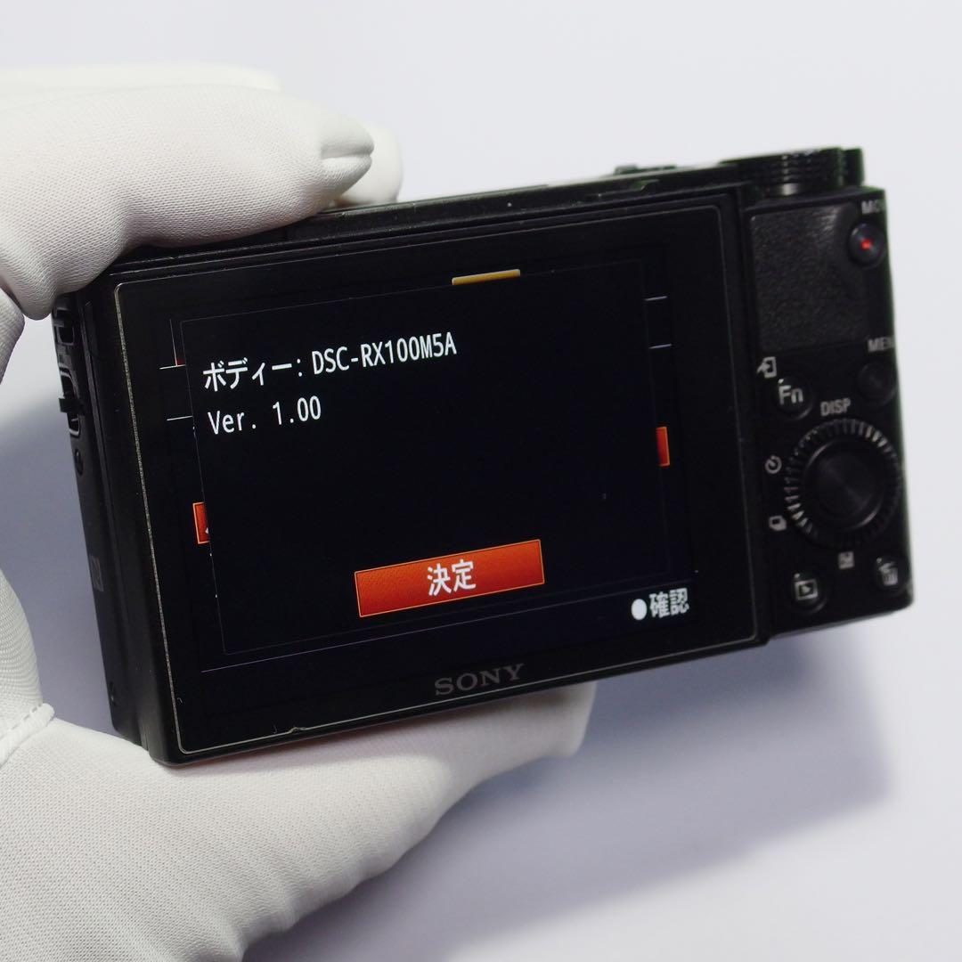 SONY CyberShot DSC-RX100M5A RX100Ⅴ おまけ多数