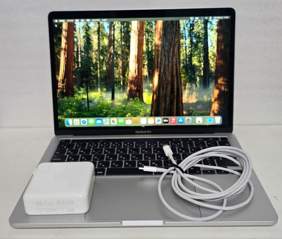 M1 / 16GB / 2TB / 13.3インチ / A2338