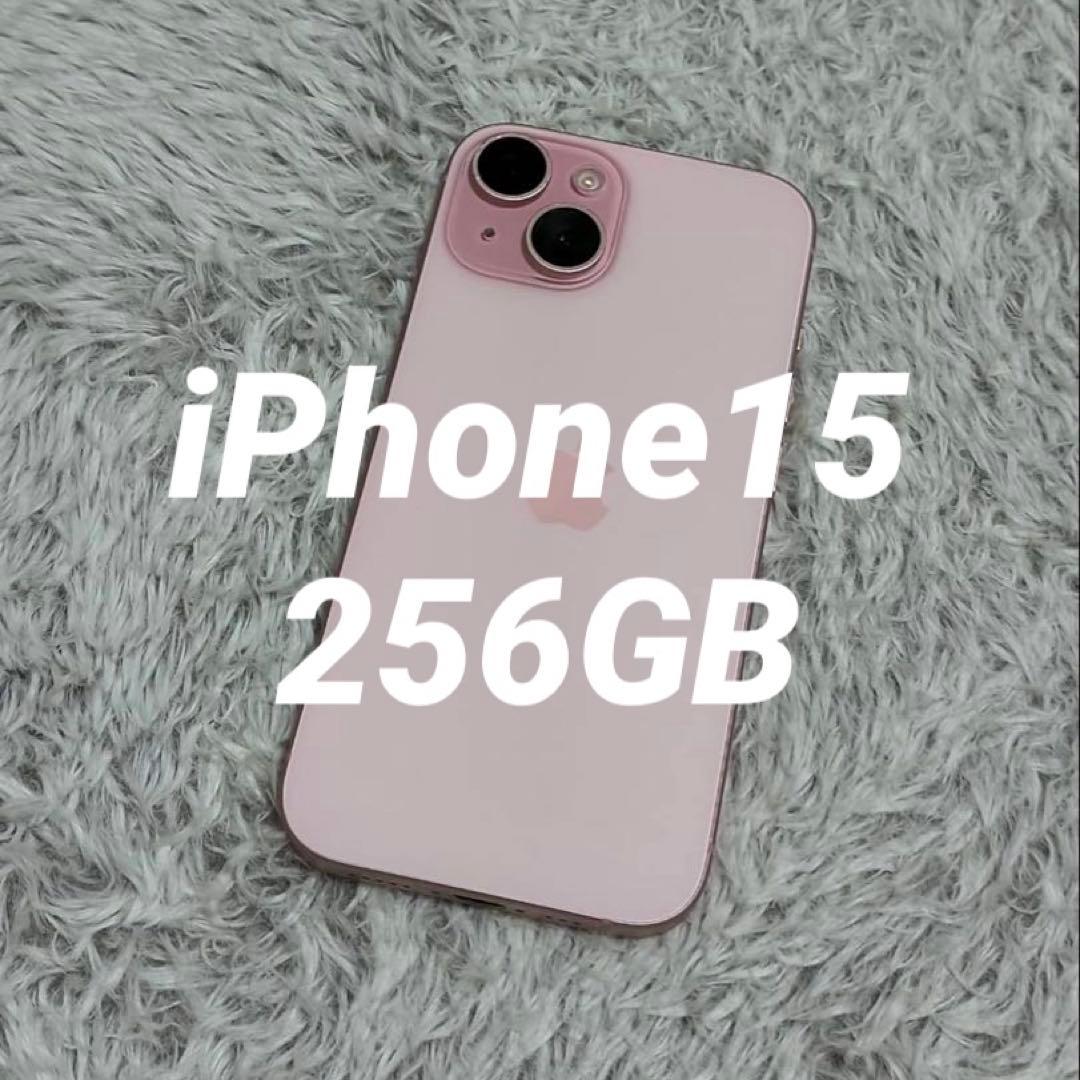 スマートフォン本体 iPhone 15