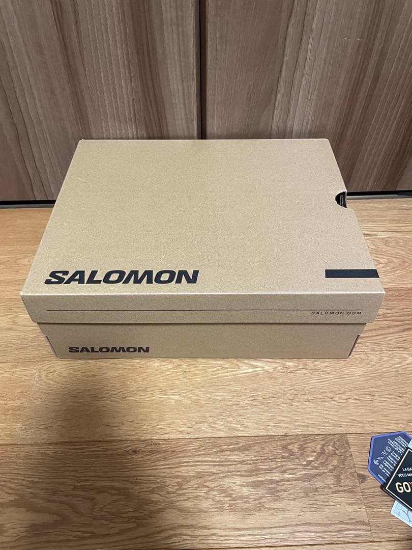 靴 SALOMON X ULTRA PIONEER MID GORE-TEX