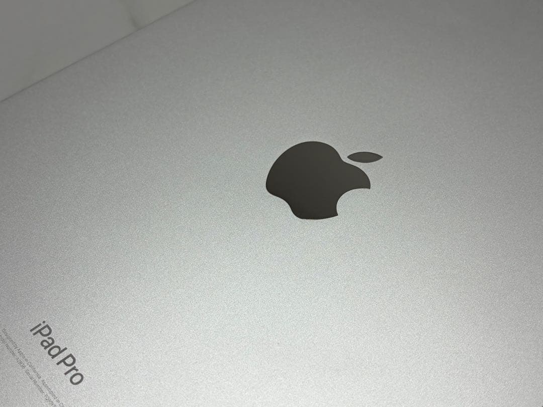 Apple iPad Pro M4 11インチ シルバー 本体