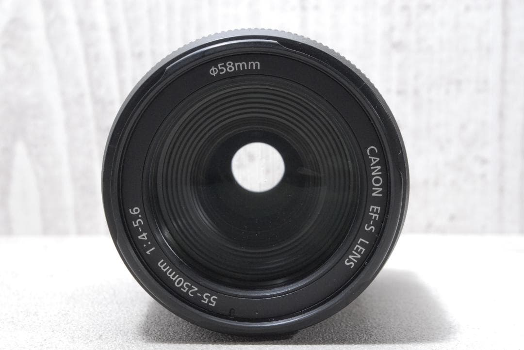 ✨Canon EOS Kiss X5✨ ダブルズーム バリアングル液晶 初心者