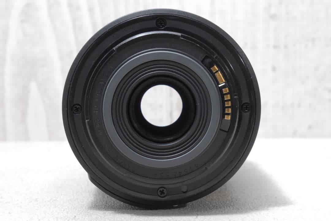 ✨Canon EOS Kiss X5✨ ダブルズーム バリアングル液晶 初心者