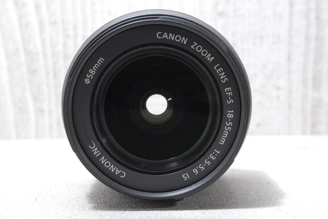 ✨Canon EOS Kiss X5✨ ダブルズーム バリアングル液晶 初心者