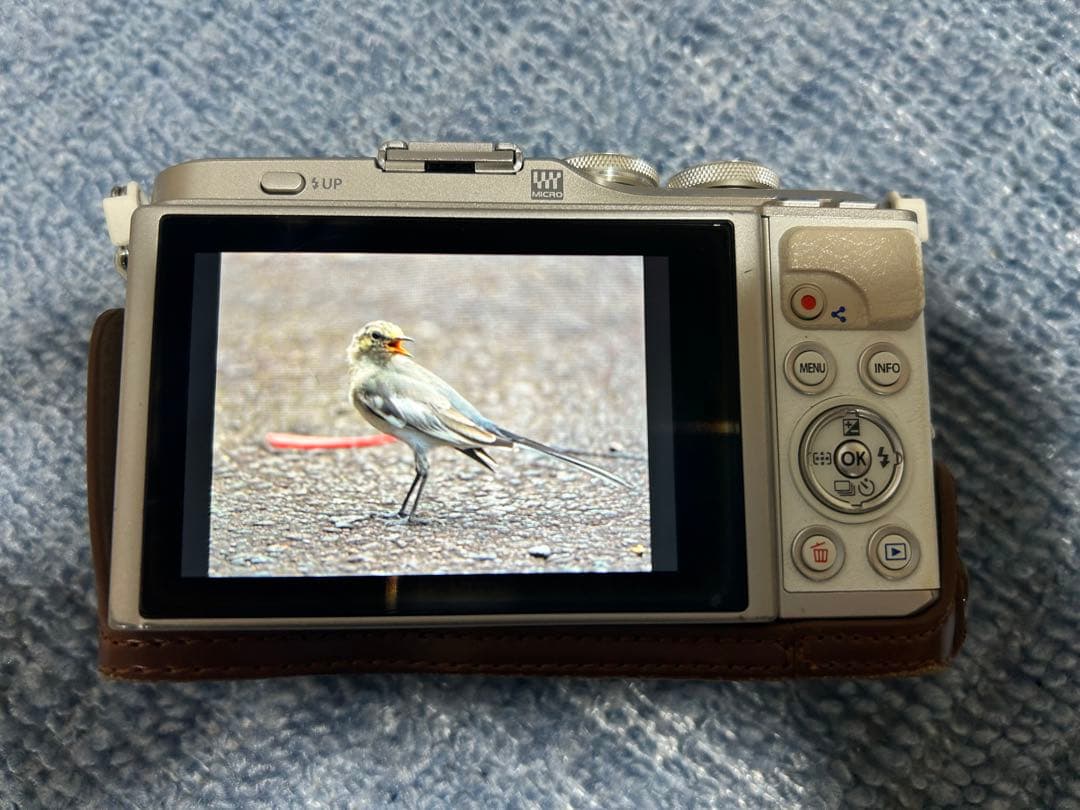 OLYMPUS E-PL9 ホワイト レザーケース・バッテリー×3・プロテクター