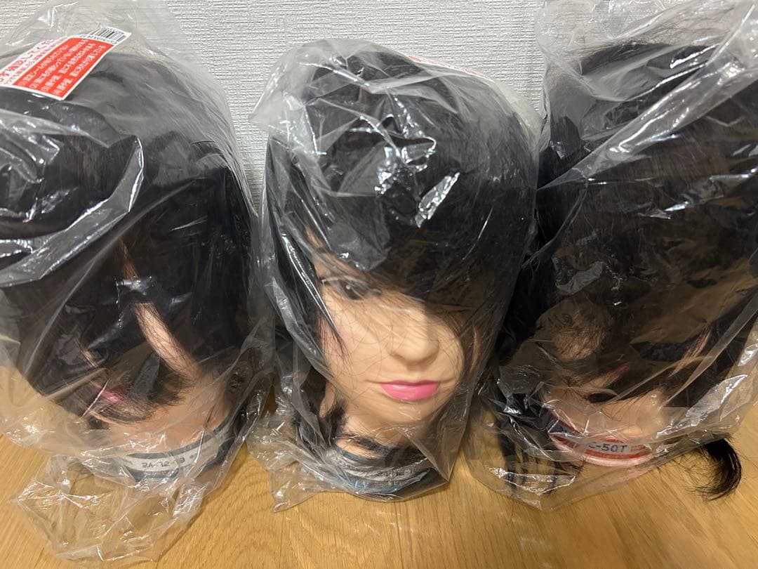 未来の美容師国試頑張れ！美容師　国家試験　カットウィッグ　未使用