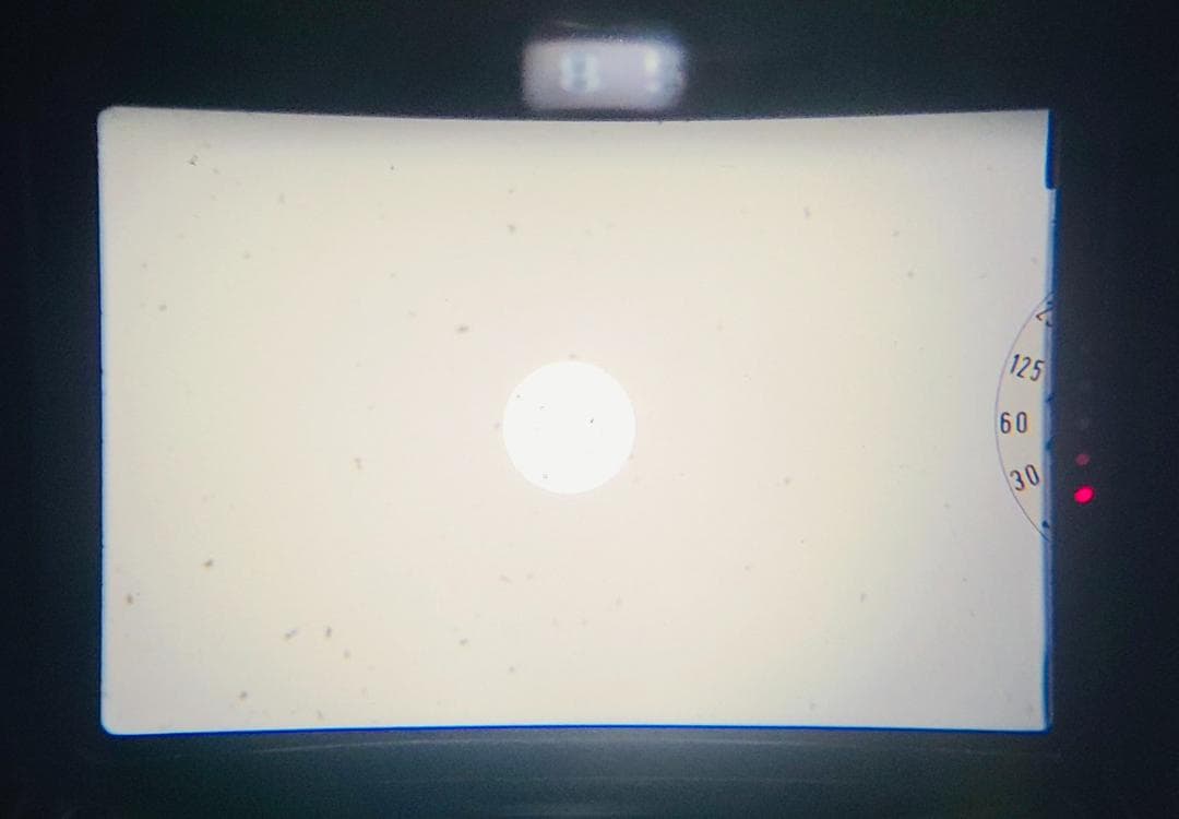 ペンタックス Pentax MX + 50mm F1.7