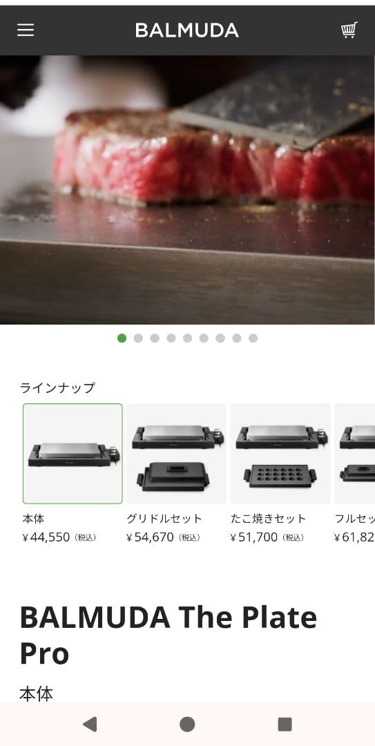 専用！京王百貨店　9月購入品　BALMUDA The Plate Pro 本体