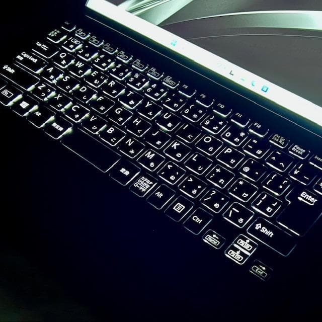 Sasuke！VAIO Pro PG