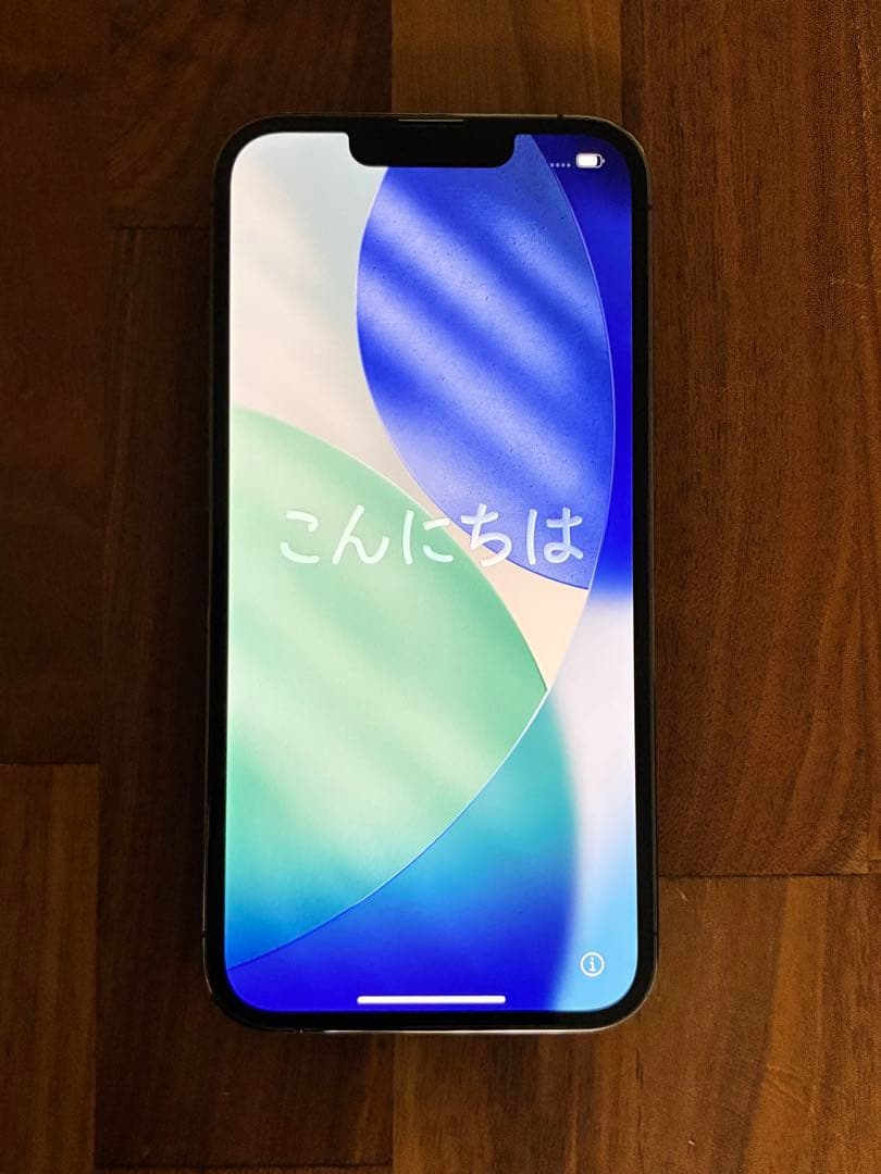 Apple iPhone 13 Pro グラファイト　128GB 【中古】