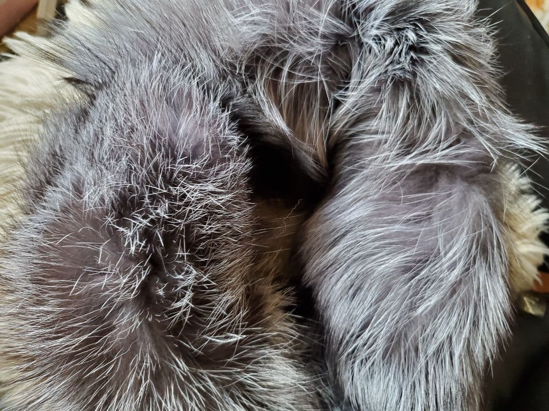 新品限定☆豪華シルバーフォックスを両面で使ったネックウォーマー/ 毛皮ファー