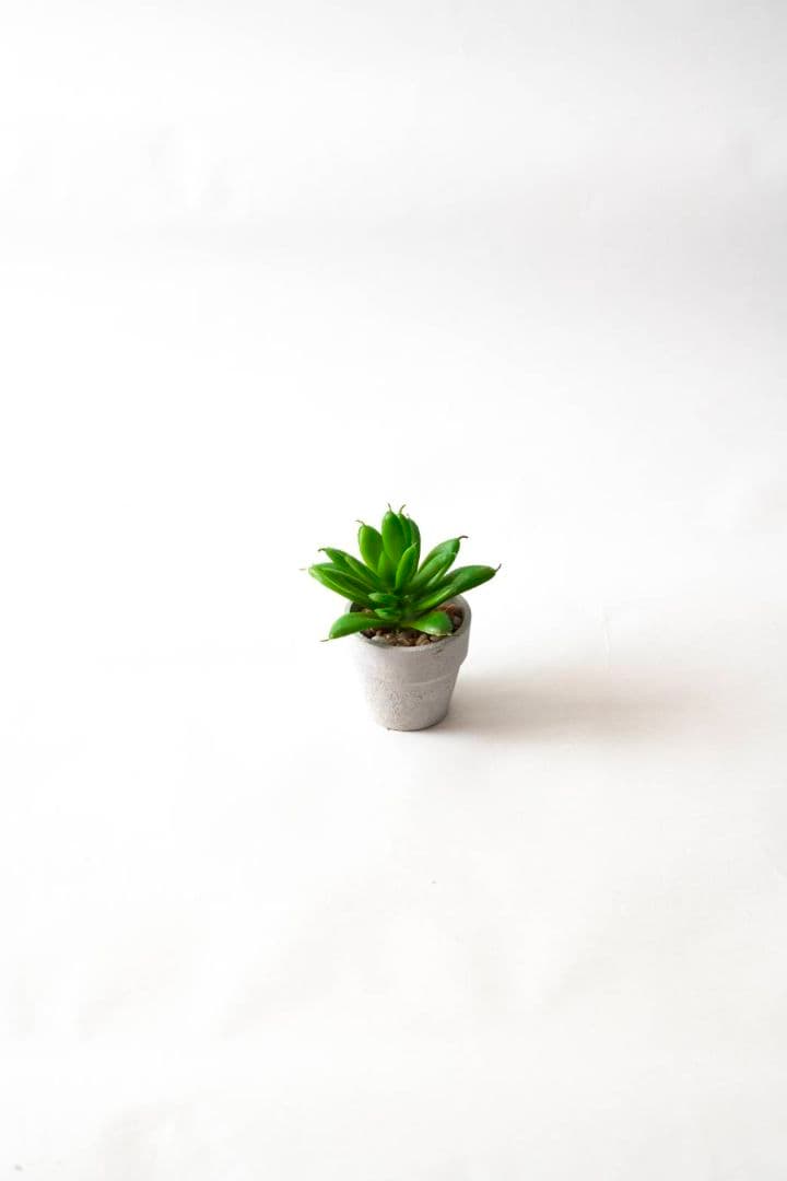 Sony FE 70-200mm F4 G OSS　即購入可