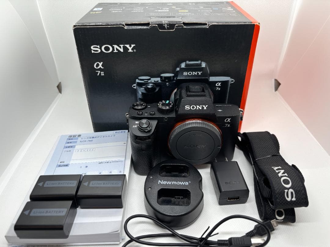 【ngyuen　ショット数：17,766枚】ソニー SONY α7 Ⅱ