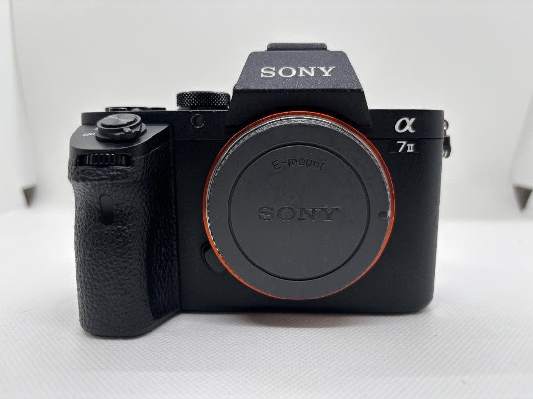 【ngyuen　ショット数：17,766枚】ソニー SONY α7 Ⅱ