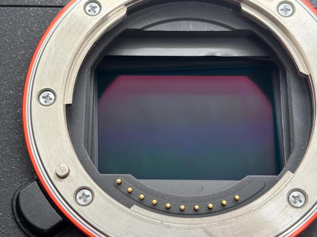 【ngyuen　ショット数：17,766枚】ソニー SONY α7 Ⅱ