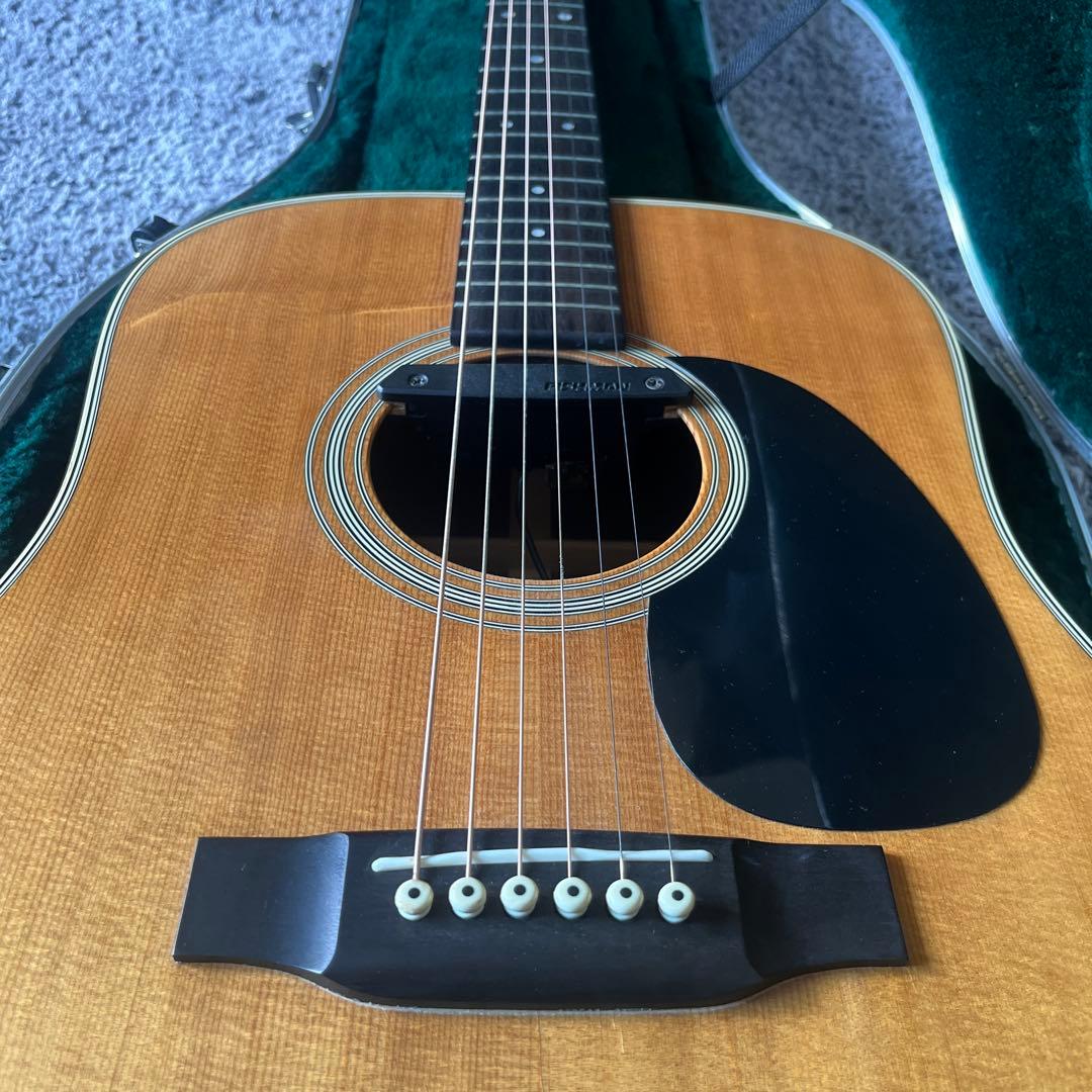 Martin D-28 Standard fishmanピックアップ