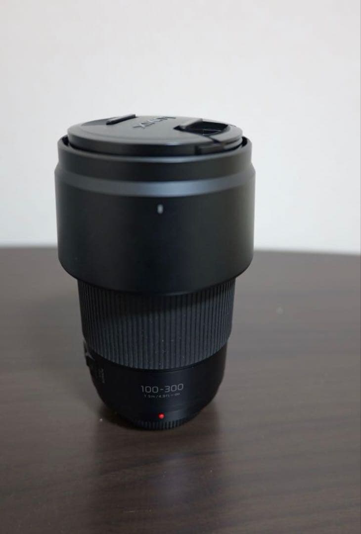 美品 LUMIX G VARIO 100-300mm H-FSA100300