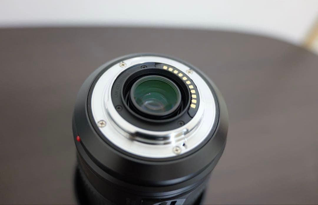 美品 LUMIX G VARIO 100-300mm H-FSA100300