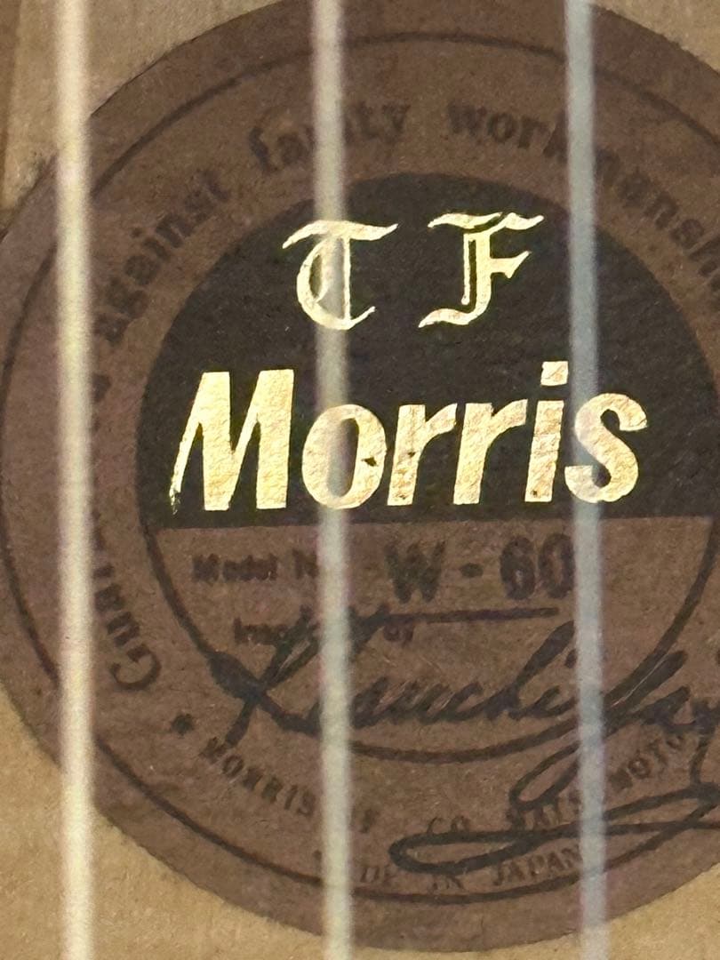 MORRIS アコースティックギター w-60