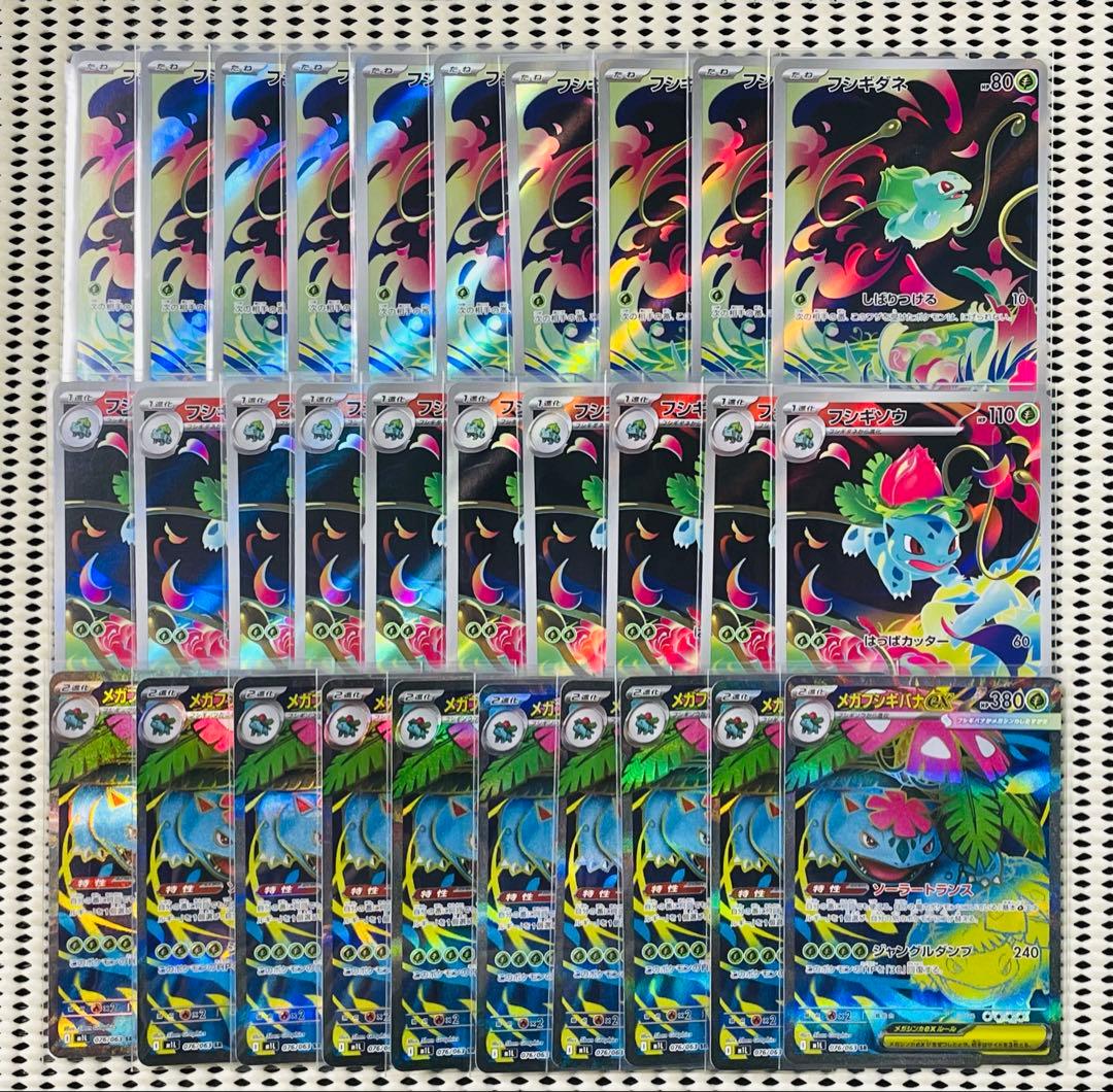 メガフシギバナex 進化ライン　各10枚