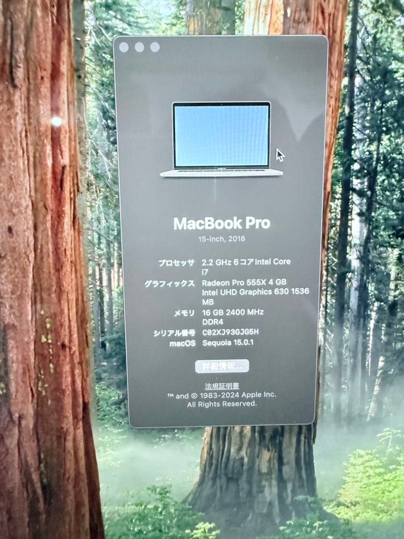 Apple MacBook Pro 15インチ 2018年モデル 本体