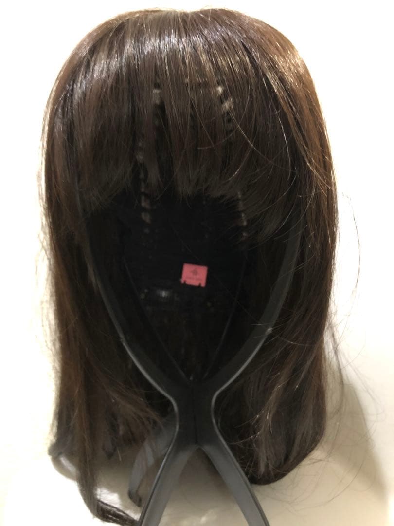 お値下げ❣️ピンクエイジ　ウィッグ　手植えフルウィッグ