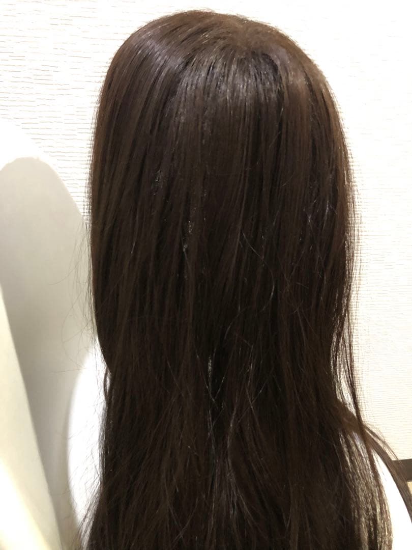 お値下げ❣️ピンクエイジ　ウィッグ　手植えフルウィッグ