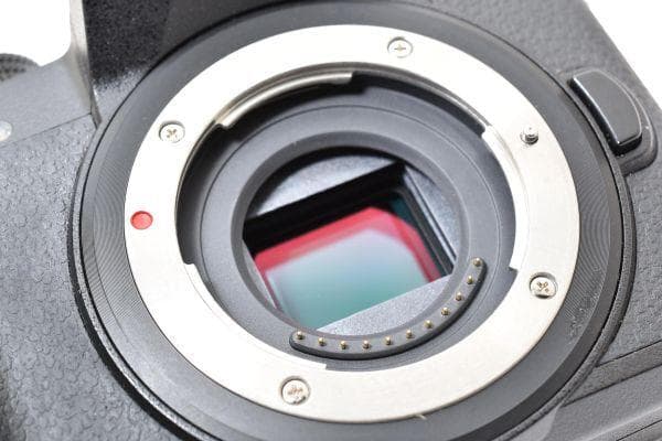 ★極上品★ パナソニック LUMIX DMC-G7-K #729