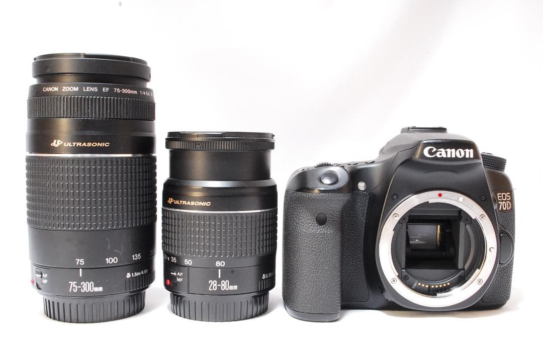 迫力の超望遠✨美品✨Canon EOS 70D✨USM ダブルレンズ 付属品充実