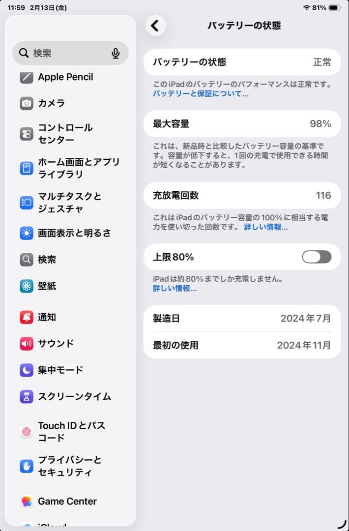 iPad mini 本体