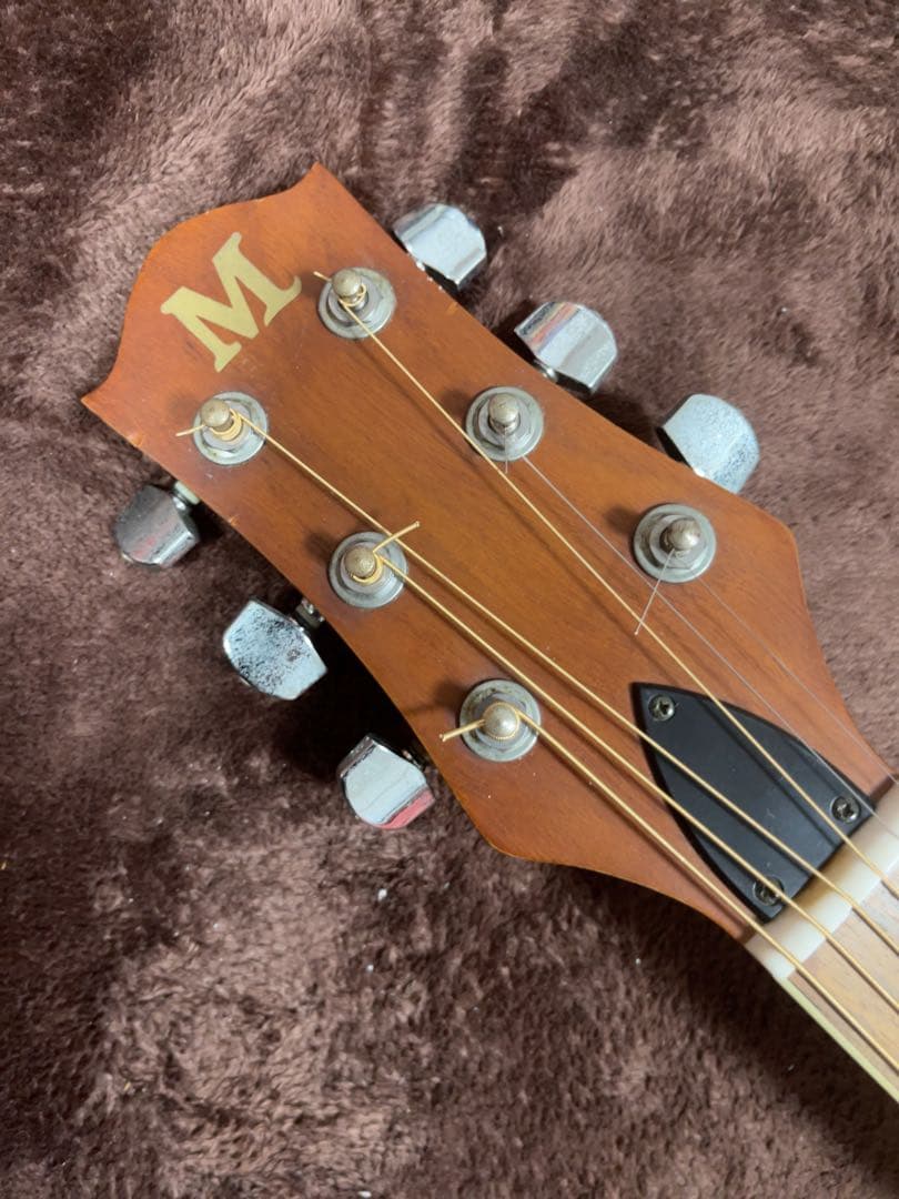 Monsty エレアコ ステージ映えするグリーンのトップ！