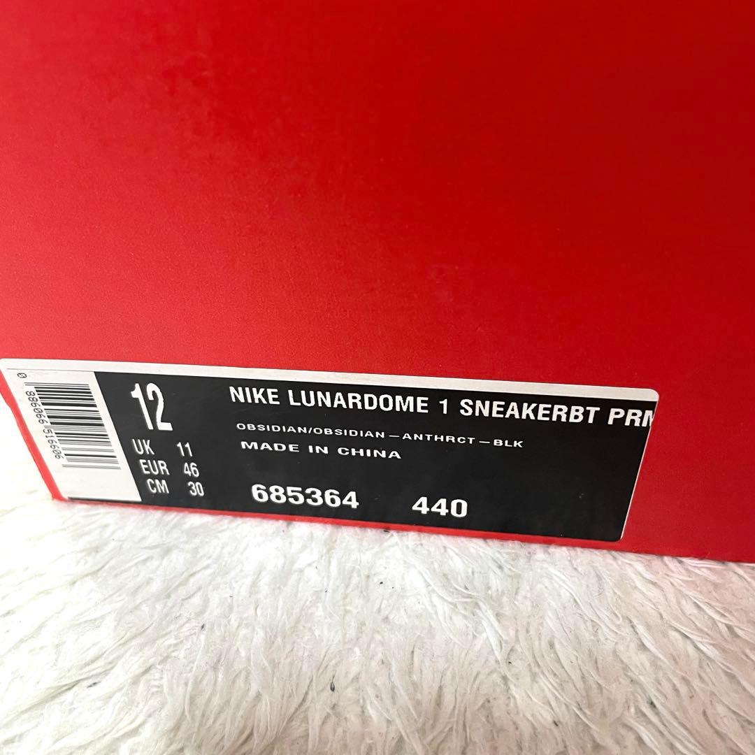 新品 NIKE ACG lunar dome 1 ウォータープルーフ 30cm