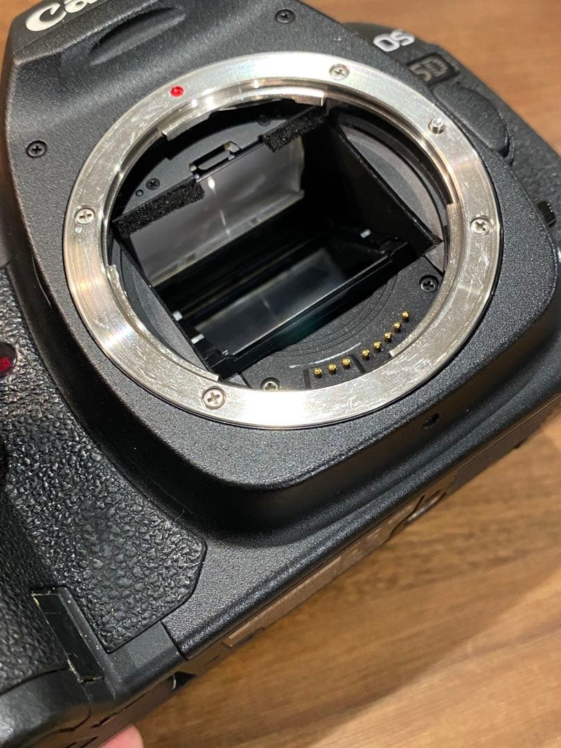 Canon EOS 5D markⅡデジタル一眼　EF50㍉　1:1.8 動作品