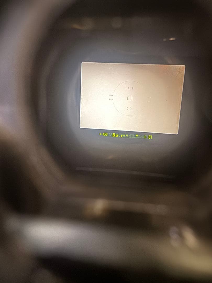 【美品 ジャンク】Nikon ニコン F100 ボディ