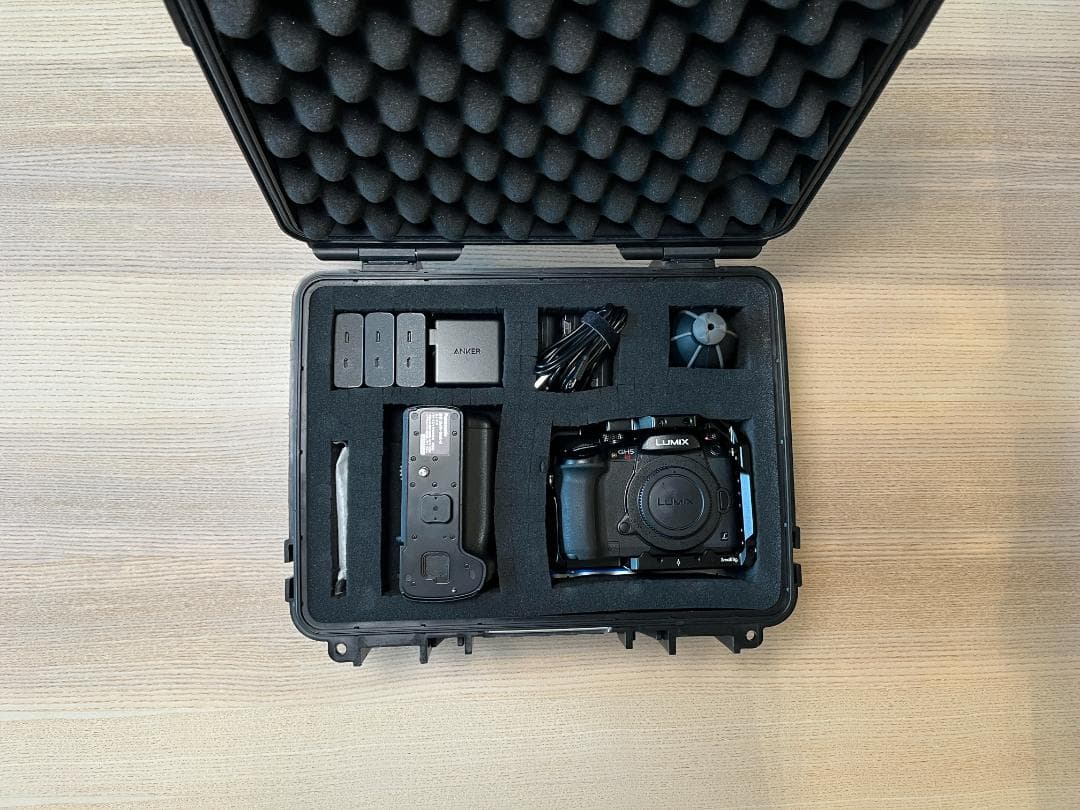 Panasonic DC-GH5S ボディ カメラゲージ・ケース・バッテリー付