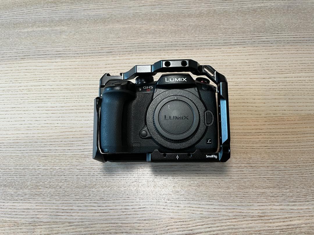 Panasonic DC-GH5S ボディ カメラゲージ・ケース・バッテリー付