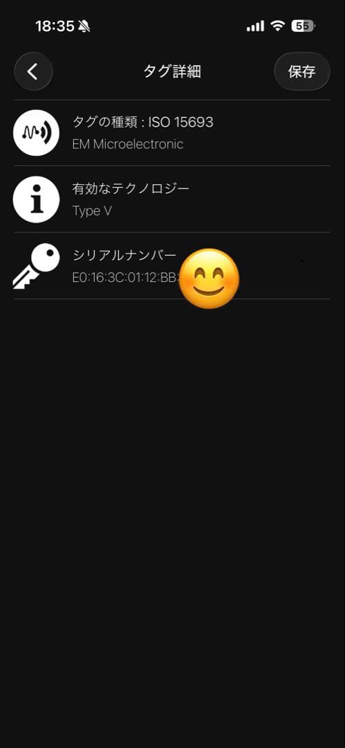 LOUIS VUITTON ブラック トートバッグ