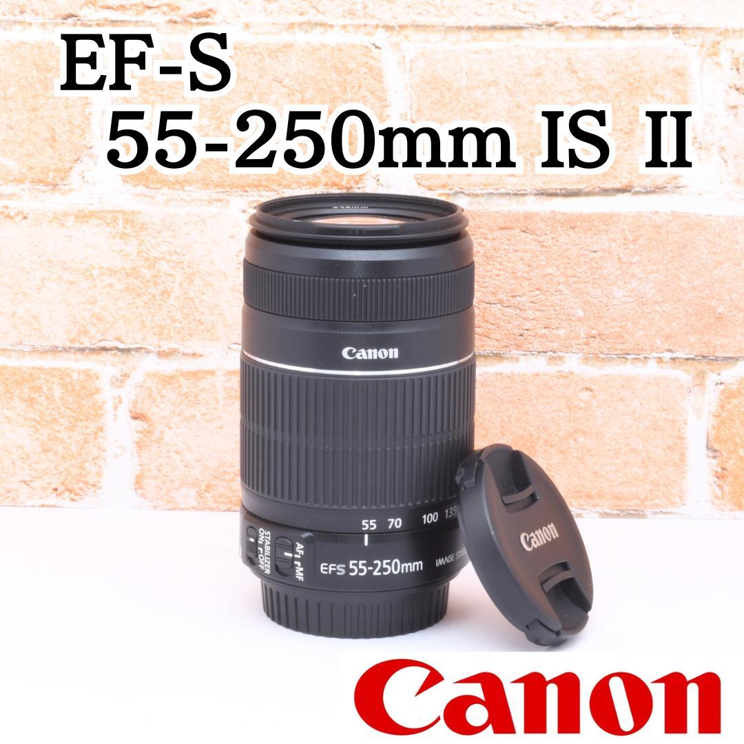 遠くも撮れる✨Canon EF-S 55-250mm IS Ⅱ✨望遠レンズ