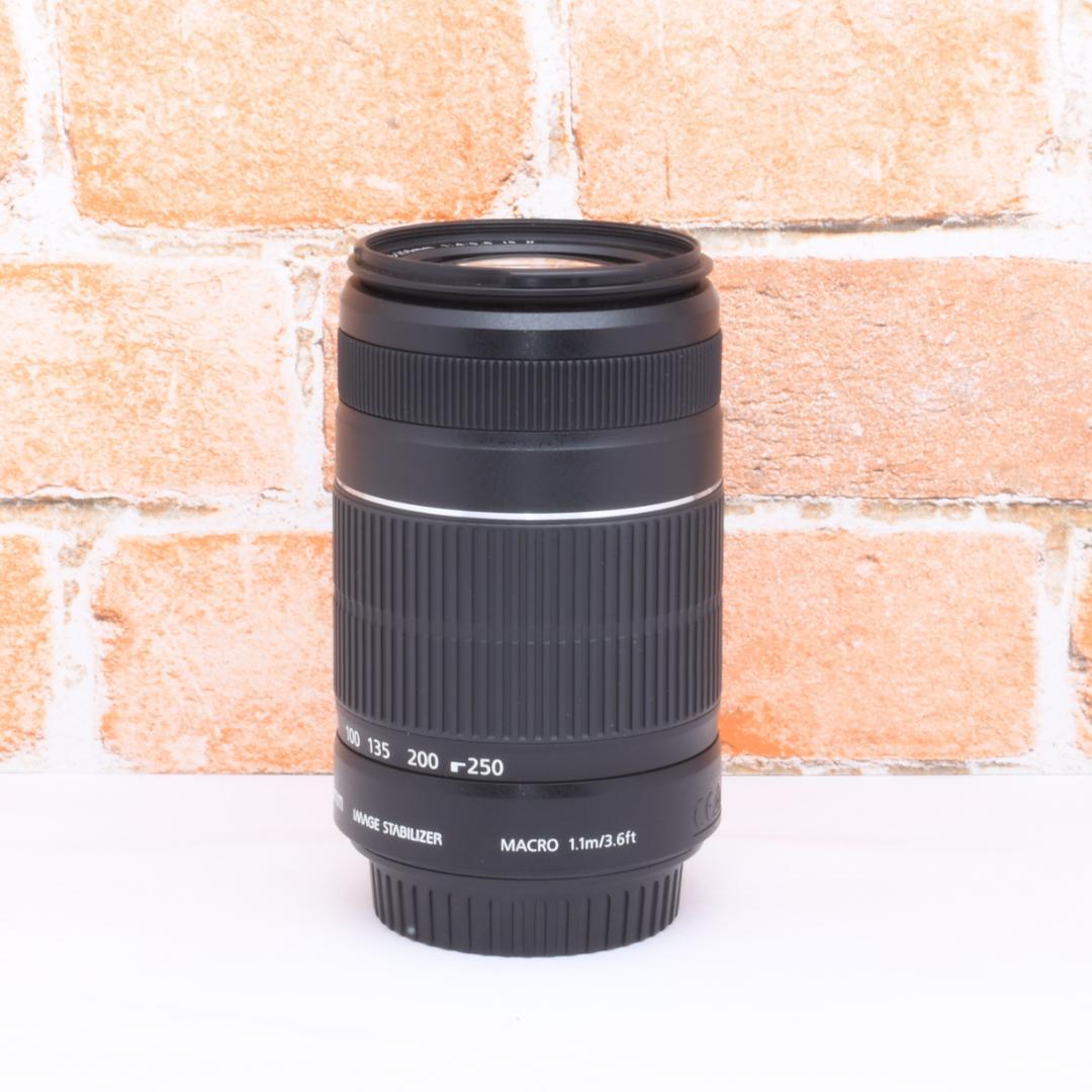 遠くも撮れる✨Canon EF-S 55-250mm IS Ⅱ✨望遠レンズ