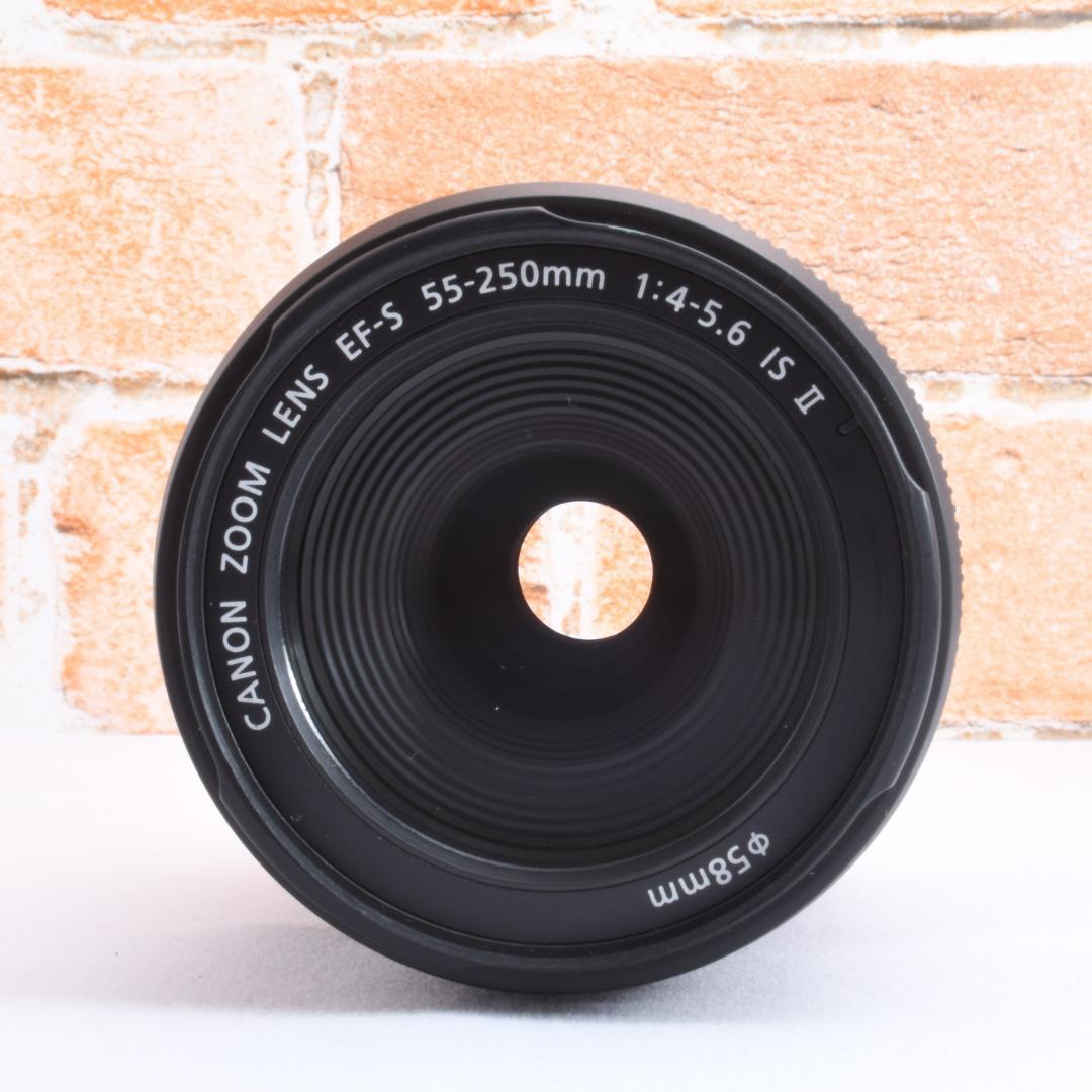 遠くも撮れる✨Canon EF-S 55-250mm IS Ⅱ✨望遠レンズ